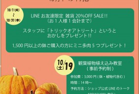 apoa,アポア,アポアショップ,イベント情報,ハロウィン,設計施工,注文住宅,リフォーム,リノベーション