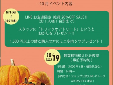 apoa,アポア,アポアショップ,イベント情報,ハロウィン,設計施工,注文住宅,リフォーム,リノベーション